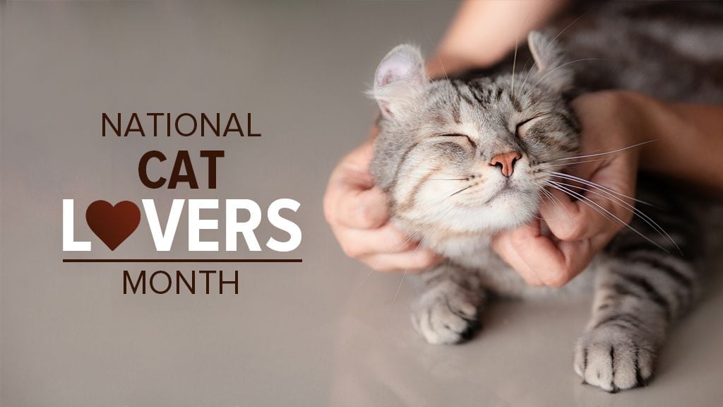National Cat Lovers Month National Cat Lovers Month